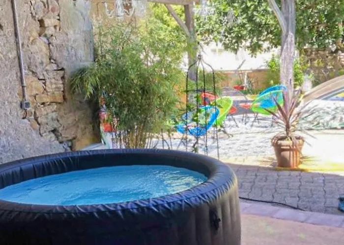 Longere Authentique Piscine Hébergement de vacances Sieurac